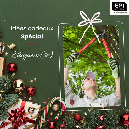 🎄 [Calendrier de l'avent - sp&eacute;cial &Eacute;lagueur(se)]