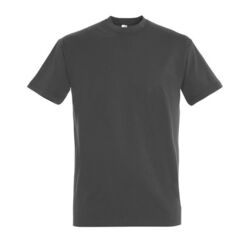 T-Shirt Homme Imperial Bétheny