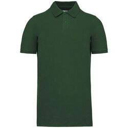Polo Bio 180 K2025 Bétheny