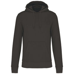 Sweat-shirt &agrave; capuche K4027 Bétheny