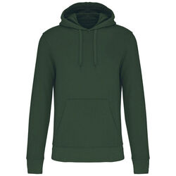 Sweat-shirt &agrave; capuche K4027 Bétheny