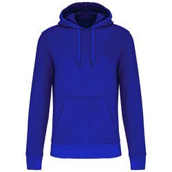 Sweat-shirt &agrave; capuche K4027 Bétheny