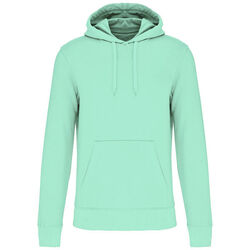 Sweat-shirt &agrave; capuche K4027 Bétheny