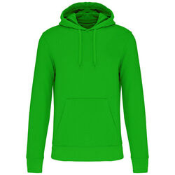 Sweat-shirt &agrave; capuche K4027 Bétheny