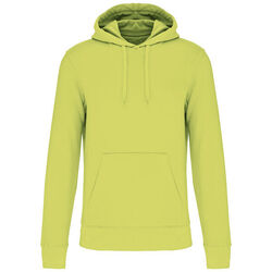 Sweat-shirt &agrave; capuche K4027 Bétheny