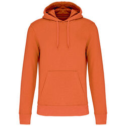 Sweat-shirt &agrave; capuche K4027 Bétheny