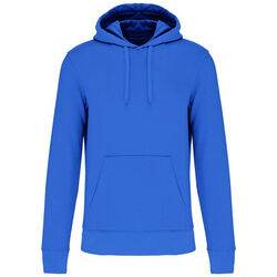 Sweat-shirt &agrave; capuche K4027 Bétheny