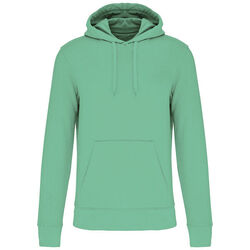 Sweat-shirt &agrave; capuche K4027 Bétheny