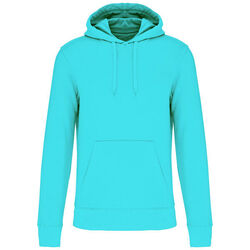 Sweat-shirt &agrave; capuche K4027 Bétheny