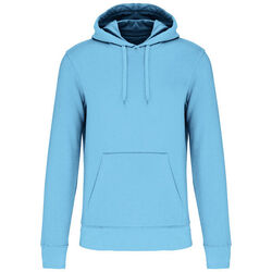 Sweat-shirt &agrave; capuche K4027 Bétheny