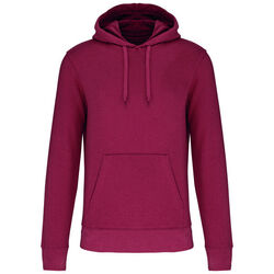 Sweat-shirt &agrave; capuche K4027 Bétheny