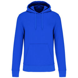 Sweat-shirt &agrave; capuche K4027 Bétheny