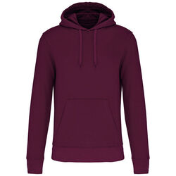 Sweat-shirt &agrave; capuche K4027 Bétheny