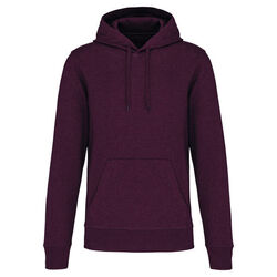 Sweat-shirt &agrave; capuche K4027 Bétheny