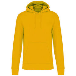 Sweat-shirt &agrave; capuche K4027 Bétheny
