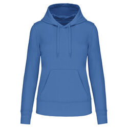 Sweat-shirt &agrave; capuche K4028 Bétheny