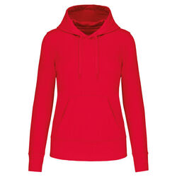 Sweat-shirt &agrave; capuche K4028 Bétheny