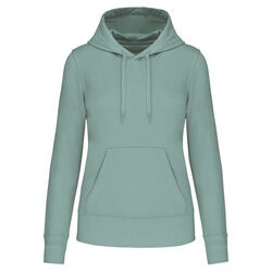 Sweat-shirt &agrave; capuche K4028 Bétheny