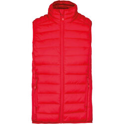 Bodywarmer Homme Doudoune L&eacute;g&egrave;re Bétheny