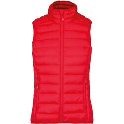 Bodywarmer Femme Doudoune L&eacute;g&egrave;re Bétheny