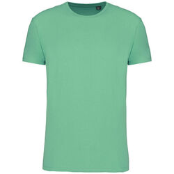 T-shirt Bio 150IC K3025ICC SAGE Bétheny