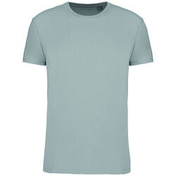 T-shirt Bio 150IC K3025ICC SNOW GREY Bétheny