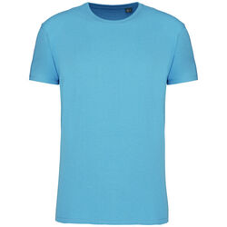 T-shirt Bio 150IC K3025ICC CLOUDY BLUE HEATHER Bétheny