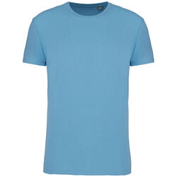T-shirt Bio 190IC K3032ICC CLOUDY BLUE HEATHER Bétheny