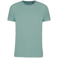 T-shirt Bio 190IC K3032ICC SAGE Bétheny