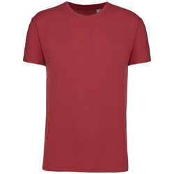 T-shirt Bio 190IC K3032ICC TERRACOTTA RED Bétheny