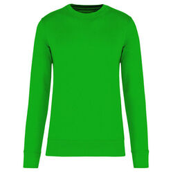 Sweat-shirt &eacute;coresponsable K4025 KELLY GREEN Bétheny