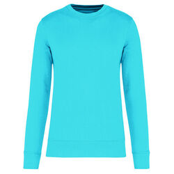 Sweat-shirt &eacute;coresponsable K4025 SEA TURQUOISE Bétheny