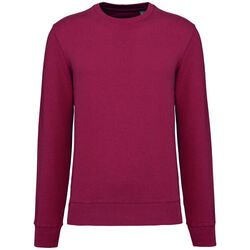 Sweat-shirt &eacute;coresponsable K4025 TERRACOTTA RED Bétheny
