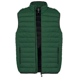 Bodywarmer Homme Doudoune L&eacute;g&egrave;re Bétheny