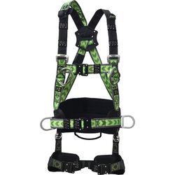 Harnais 2 POINTS + CEINTURE ROTATIVE + BOUCLES AUTOMATIQUES Bétheny